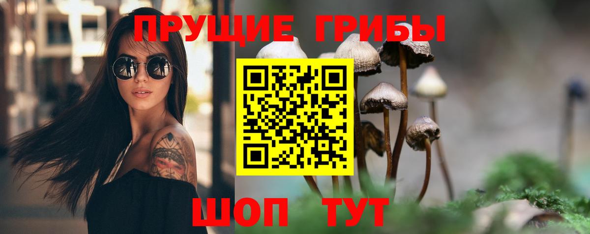Псилоцибиновые грибы MAGIC MUSHROOMS Алексин