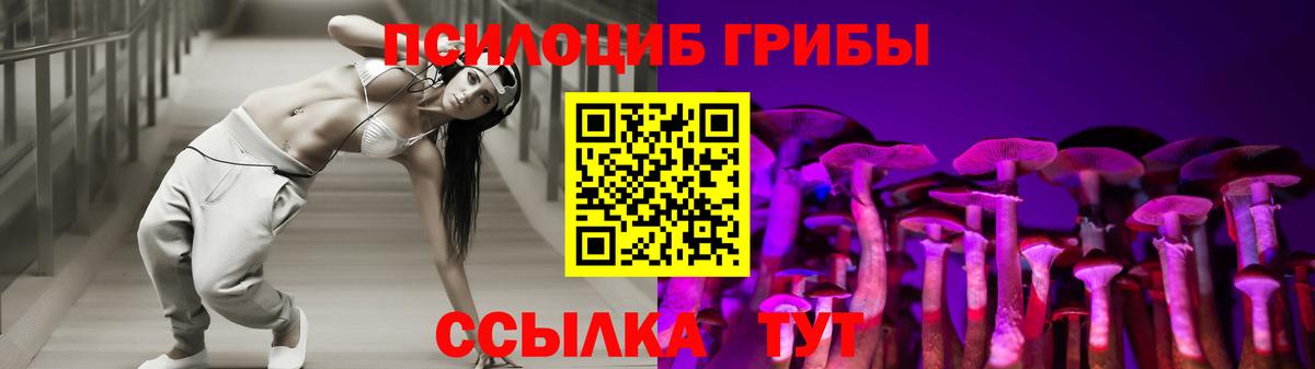 купить   Псилоцибиновые грибы мицелий  Алексин  Вход с VPN  Псилоцибиновые грибы мухоморы 